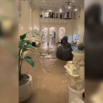 Trump backs Cuomo for New York City mayor and threatens to cut funding if Mamdani wins